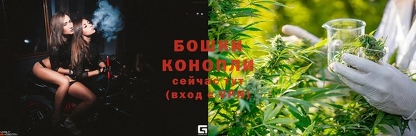 jwh Снежногорск