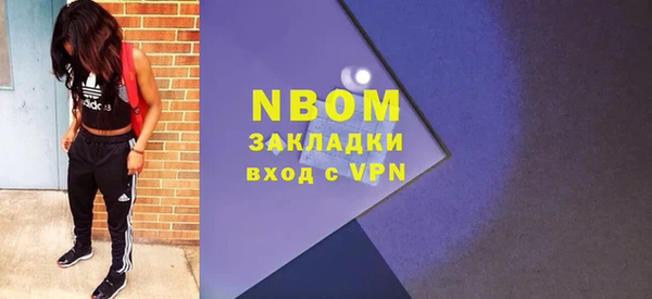 хмурый Аркадак