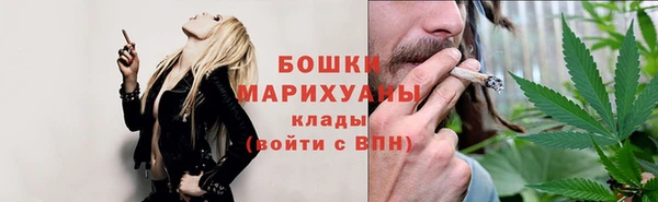 хмурый Аркадак