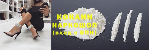 хмурый Аркадак