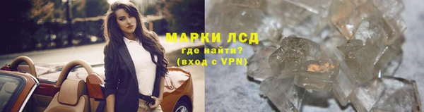 хмурый Аркадак