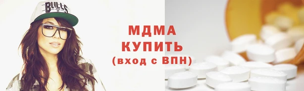 хмурый Аркадак