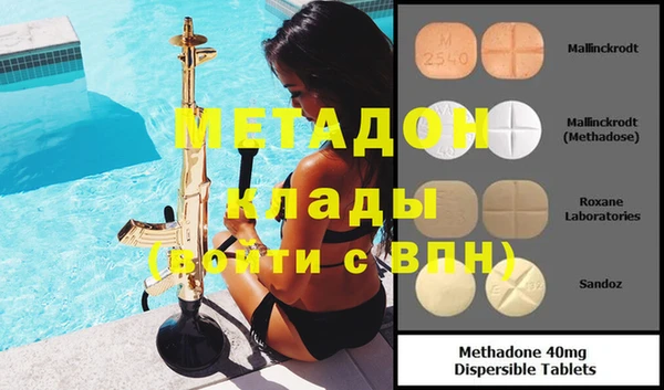 хмурый Аркадак