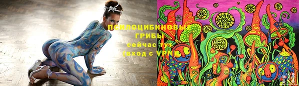 хмурый Аркадак