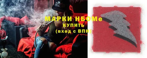 хмурый Аркадак