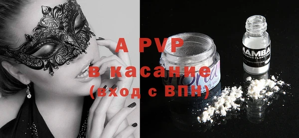 хмурый Аркадак