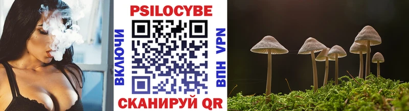 Галлюциногенные грибы Cubensis  Салаир 